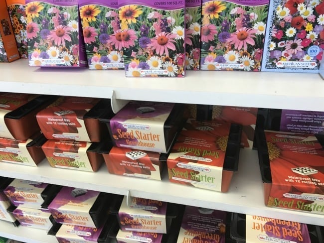 The Best Gardening Supplies from the Dollar Tree