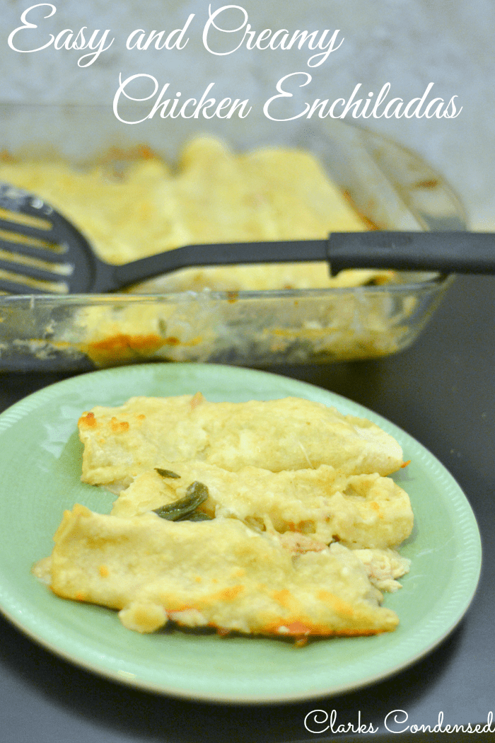 Creamy and Healthy Chicken Enchiladas (lactose free options)