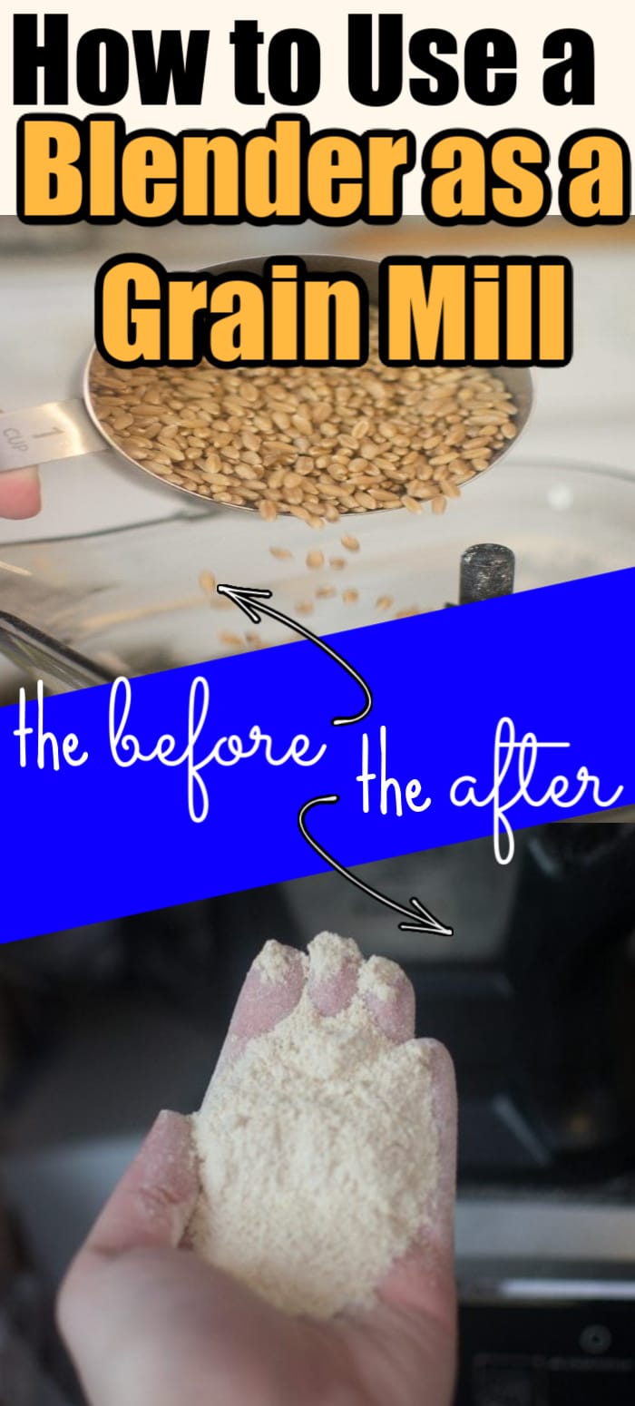 2 Ways to Make Flour at Home  Blender vs Grain Mill 