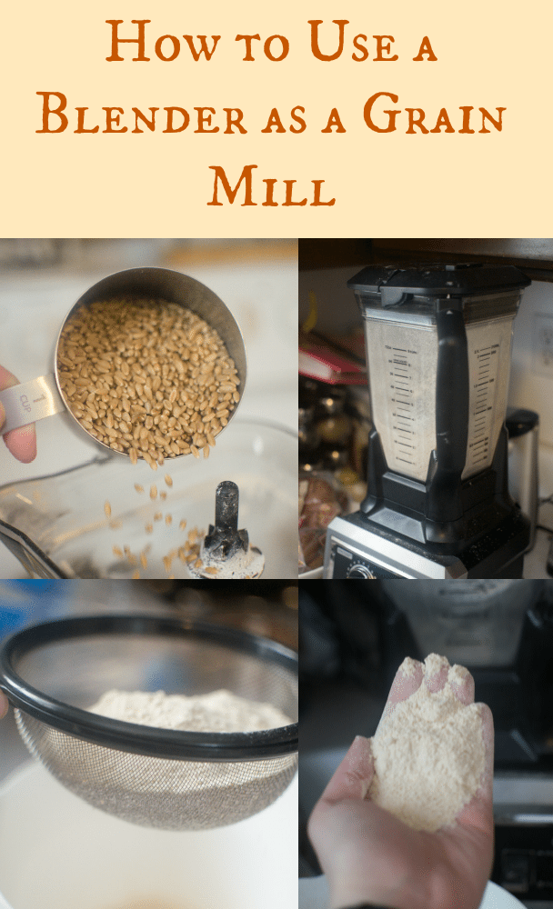 DIY Grain Mill: How to Use a Blender to Make Flour
