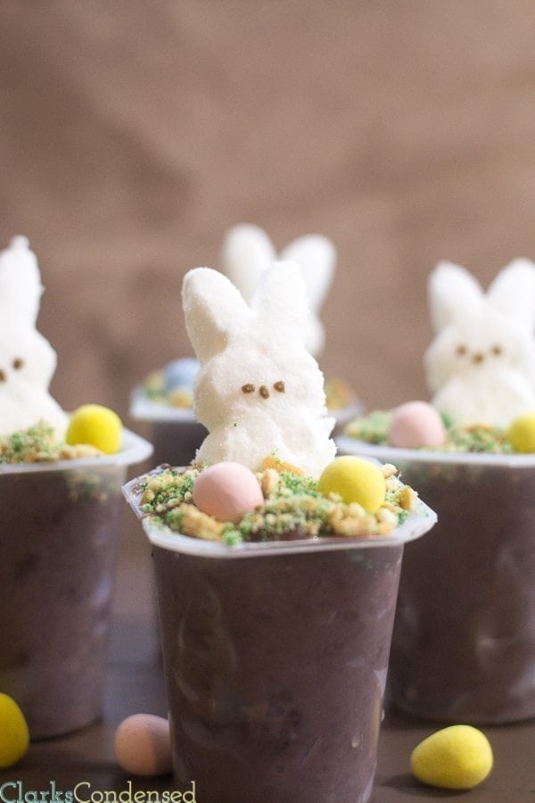 https://www.clarkscondensed.com/wp-content/uploads/2015/03/easter-pudding-cups-10-of-16.jpg