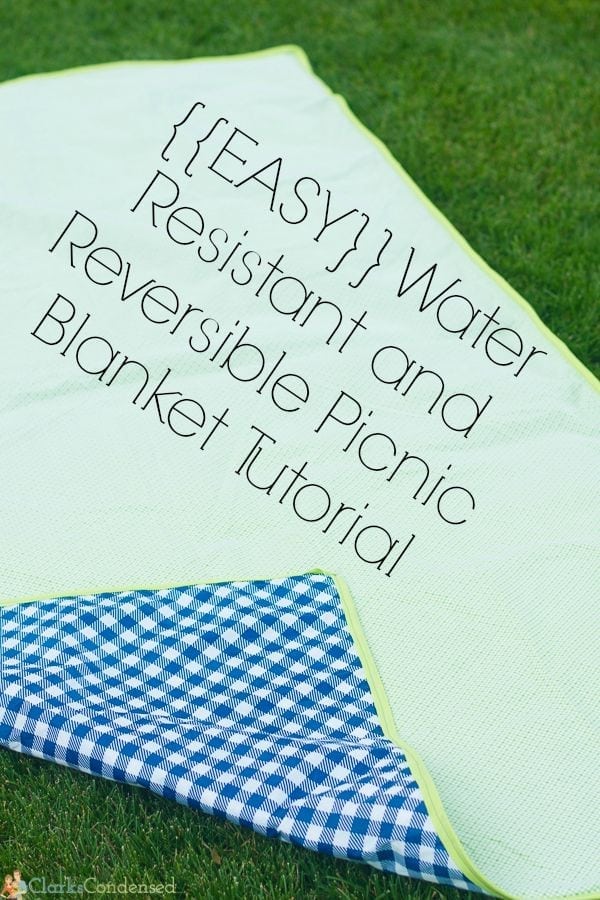 picnic rug with waterproof backing