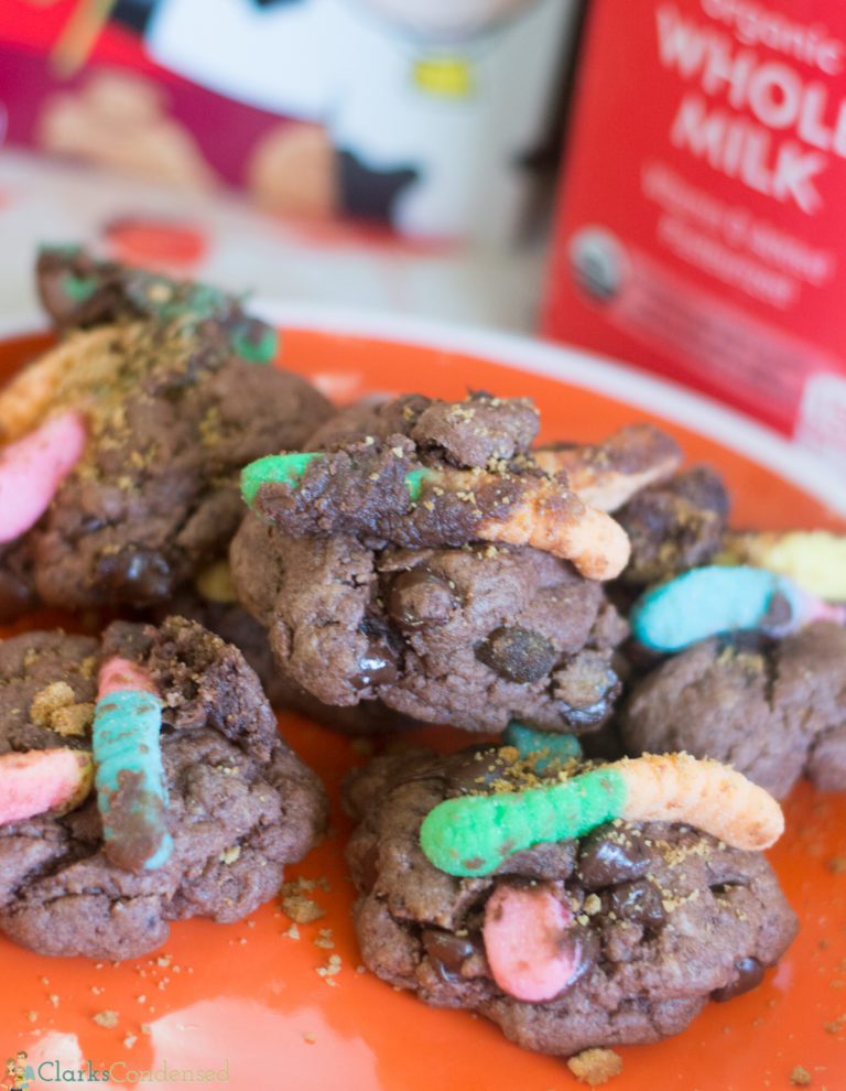 Dirt and Worm Pudding Cookies