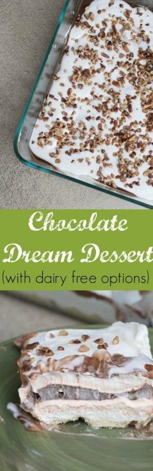 Dairy Free Chocolate Dream Dessert Recipe 2024 Clarks Condensed