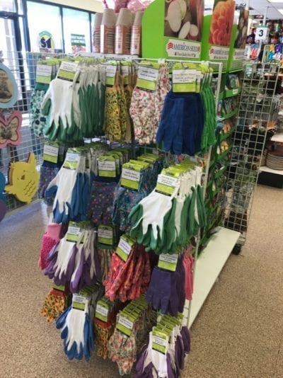 The Best Gardening Supplies from the Dollar Tree - Clarks Condensed