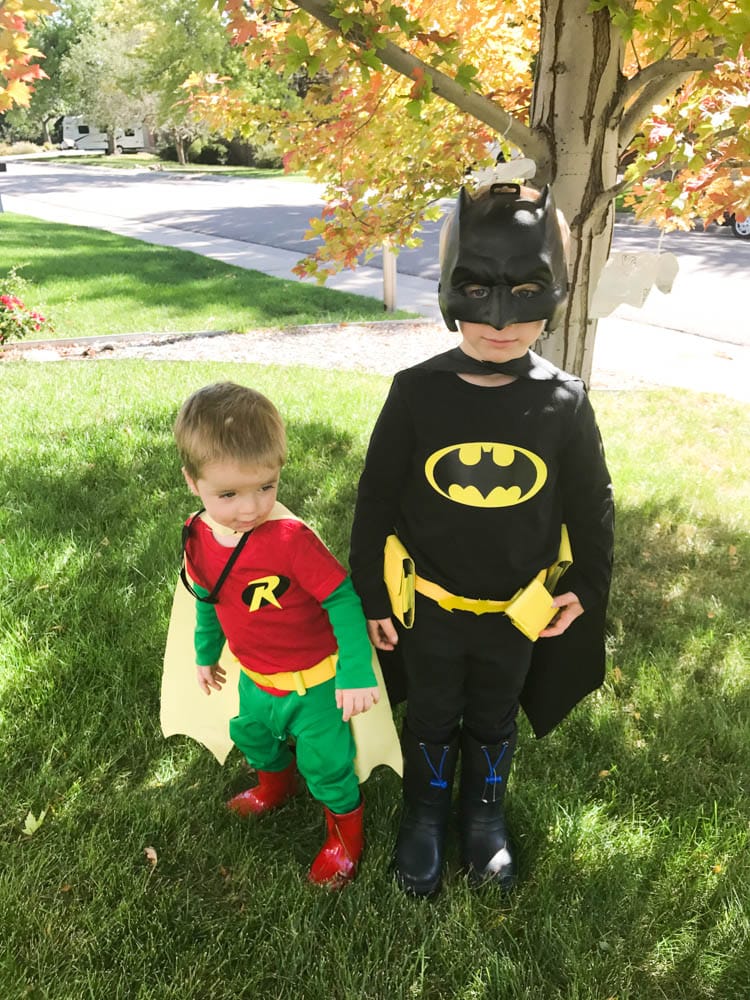 Batman and Robin Costumes for Kids