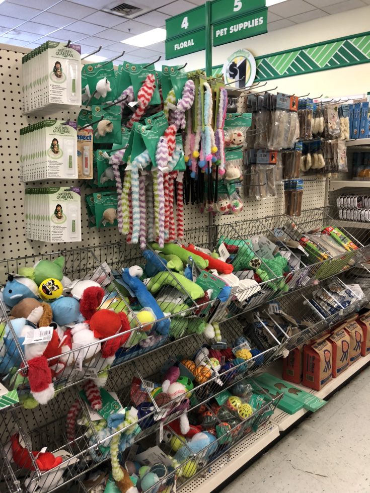 30+ Dollar Tree Stocking Stuffers for All Ages (and Pets!) 2024