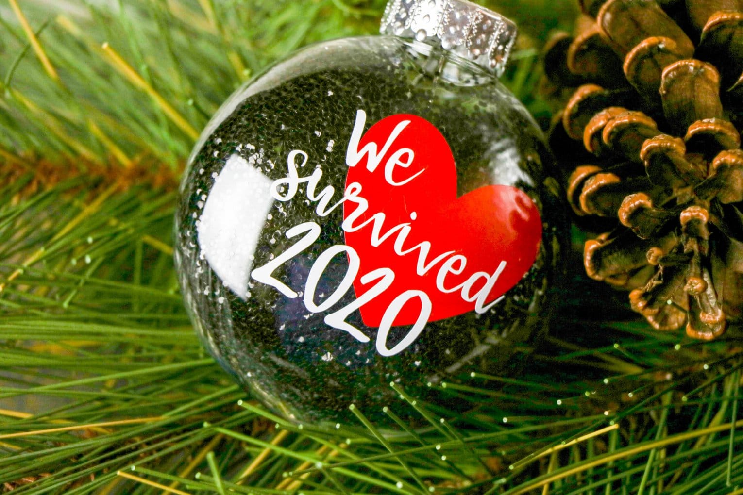 DIY We Survived 2020 Ornament