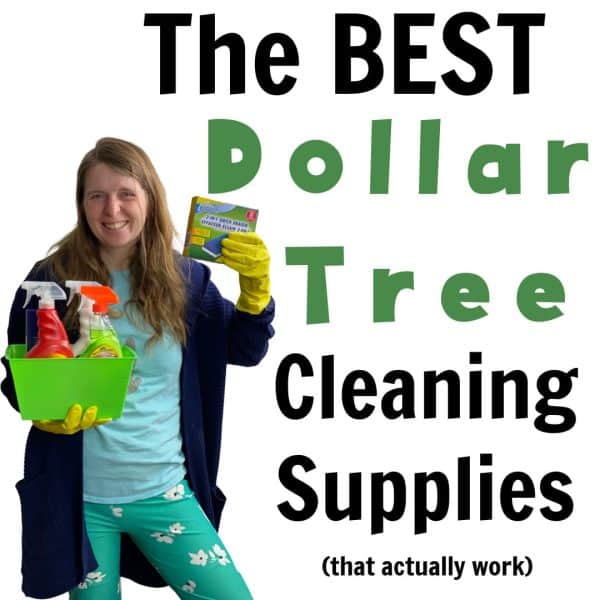 35+ Best Mom-Approved Dollar Tree Cleaning Supplies