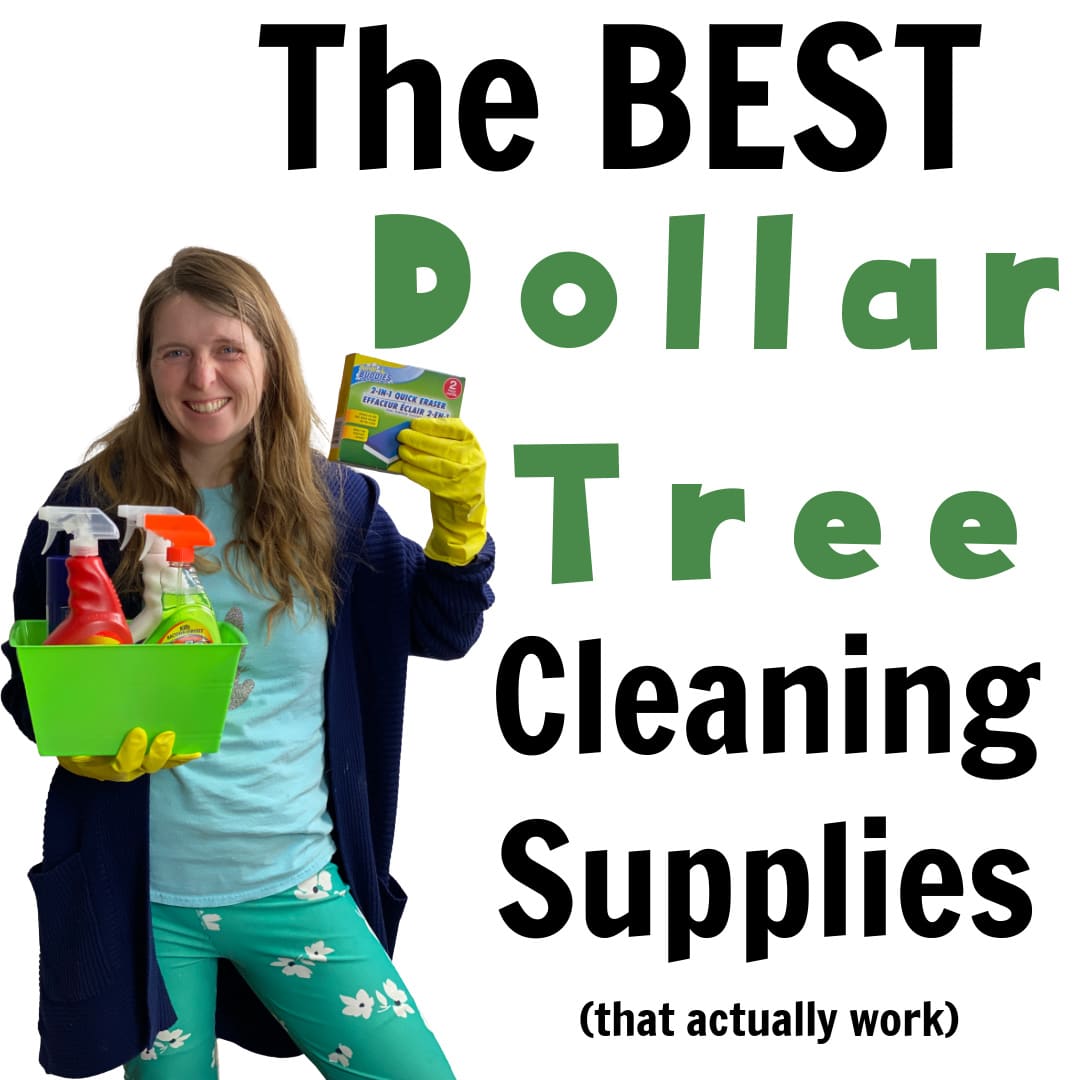 https://www.clarkscondensed.com/wp-content/uploads/2021/01/dollar-tree-cleaning-supplies.jpg